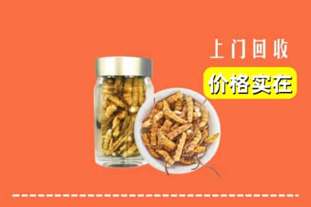 收购资讯:崇左市凭祥回收散虫草