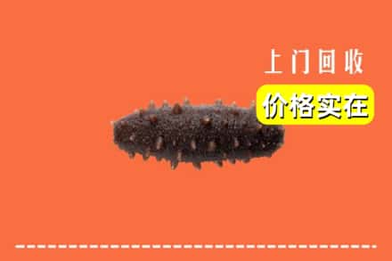 收购资讯:崇左市凭祥回收海参