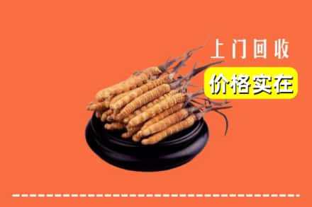 崇左市凭祥回收冬虫夏草